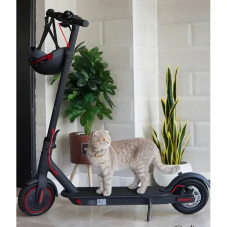 Livall Bh51m Neo Smart Kask Miejski Bluetooth Led/sos Roz. L