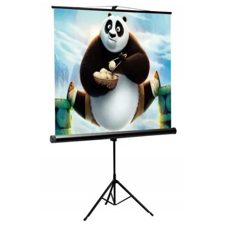 Ekran Projekcyjny 200x200 cm 112 Cali Sbox Psmt-112 Statyw